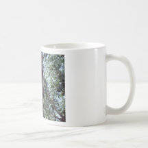 koala bear coffee mugs