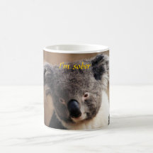 koala bear coffee mugs