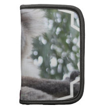 Koala Bear Facts Wallet Folio Organizer