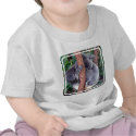 Koala Bear Family Baby T-Shirt