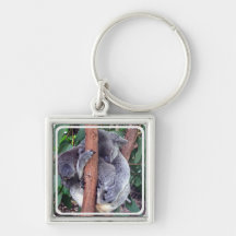 Koala Bear Family Keychain
