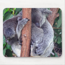 Koala Bear Family Mouse Pad