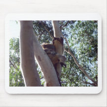 koala bear mouse mats
