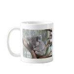 koala bear coffee mugs