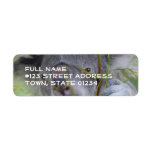 Koala Bear Return Address Label