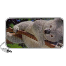 Koala Bear Travel Speakers