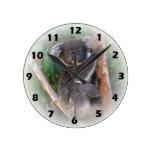 Koala Bear Wall Clock