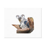 Koala Canvas Print