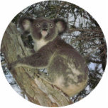 Koala Christmas Ornament photo sculptures