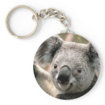 Koala Cutie Keychain