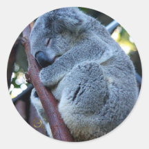 Koala de tarte de Cutie Autocollants Ronds