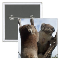 Koala Duo Pins