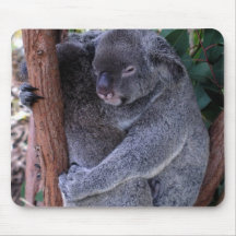 Koala Family Mouse Pad