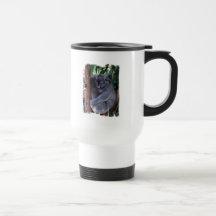 Koala Family Plastic Travel Mug