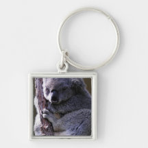 Koala in Tree Keychain