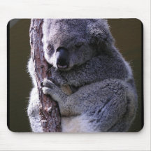 Koala in Tree Mouse Pad