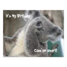 Koala Invite Birthday Party