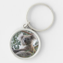 Koala Keychain