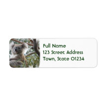 Koala Mailing Labels