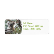 Koala Mailing Labels