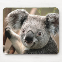 Koala Mousepad