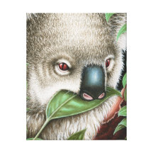 Koala Munching a Leaf Wrapped Canvas Stretched Canvas Print