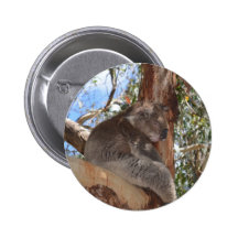 Koala Pins
