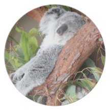 Koala Plate
