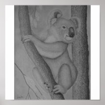 Koala Poster