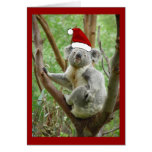 Koala Santa Christmas Card