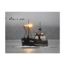 Kodiak, Crab Boat in Dutch Harbour, Alaska