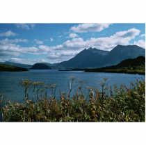 Kodiak National Wildlife Refuge Photo Sculptures
