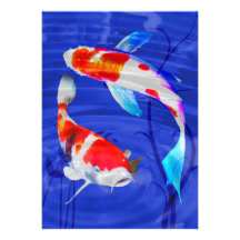 Kohaku Duo in Deep Blue Pond Invitations