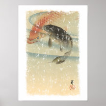 Koi Affiche