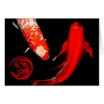 Koi