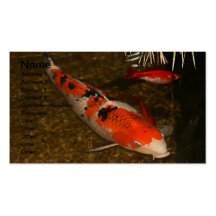 Koi Carp Business card 1 Normal