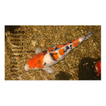 Koi Carp Business card 2