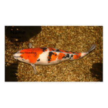 Koi Carp Business card 3