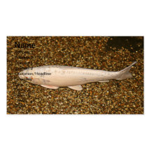 Koi Carp Business card 8