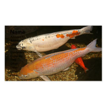 Koi Carp Business card 9