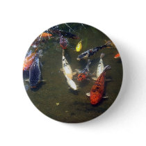 Koi Carp Button
