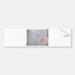 Koi carp in pond bumper stickers