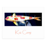 Koi Carp Postcard Design