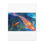 Koi Fish Beauty