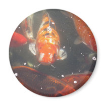 Koi Fish glide among the still green  waters Magnet