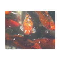 Koi Fish glide among the still green  waters Post Card