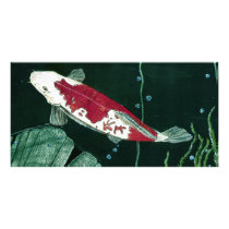 Koi Fish In Pond Photo Cards