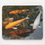 Koi Fish In Pond Photograph Mousepad
