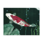 Koi Fish In Pond Postcard