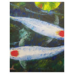 Koi Fish Tancho Kohaku